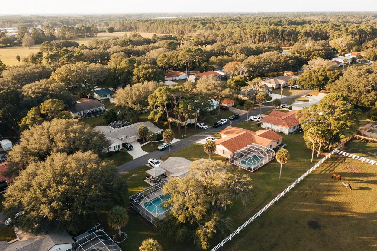 Tree Service in Belleview